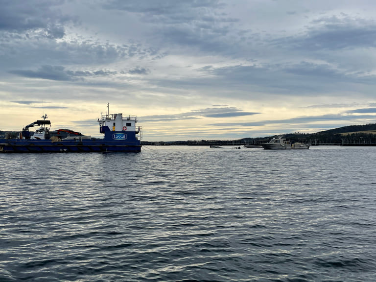 Tassal barge tips over