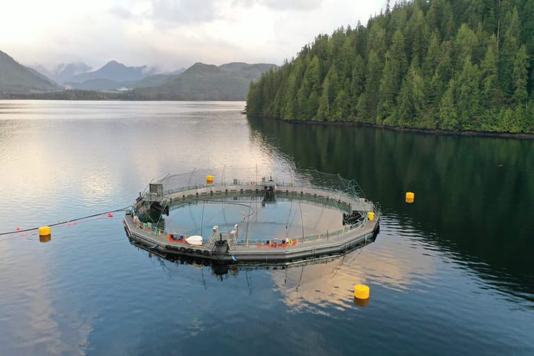 “If it is to be competitive against RAS and open sea cages, we must continue to improve the fish’s performance and reduce the cost level”