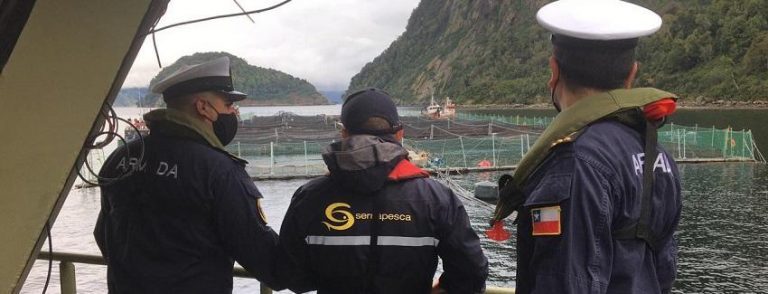 Chile’s aquaculture authority concludes probe of fish deaths at Multi-X
