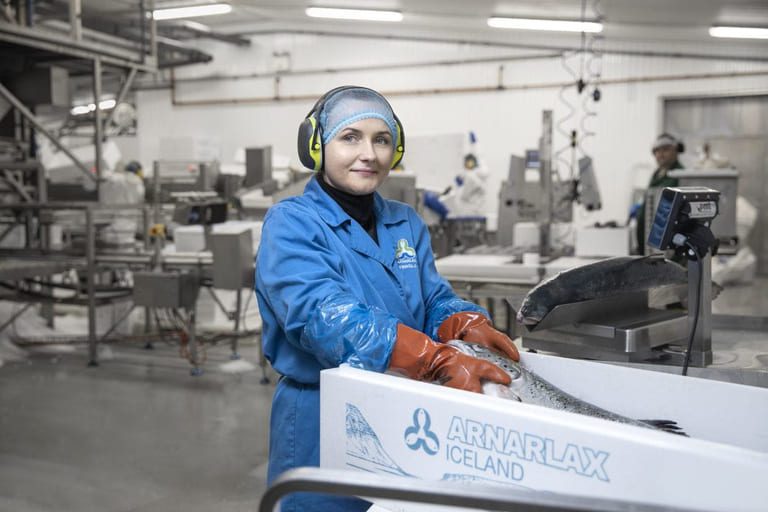 Ice Fish Farm sells its shares in smolt producer Isthor to Arnarlax for €32 million