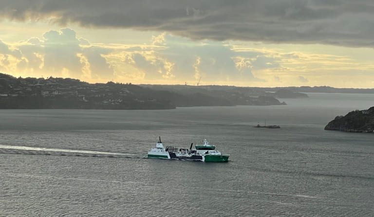 Salmon prices hit a new year’s high