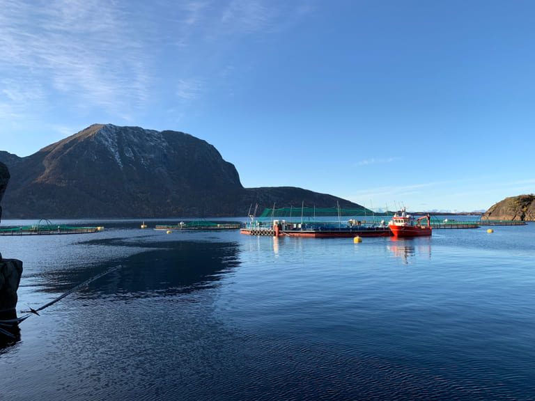 Food distribution company invests in Scottish semi-closed salmon farm project