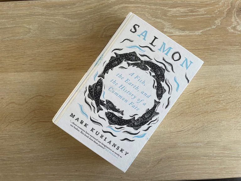 A box of amazement and a history of suffering