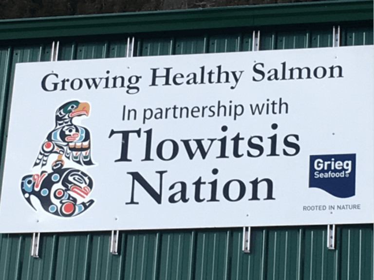 ‘Stay out of our business’: First Nation issues warning over salmon farm interference