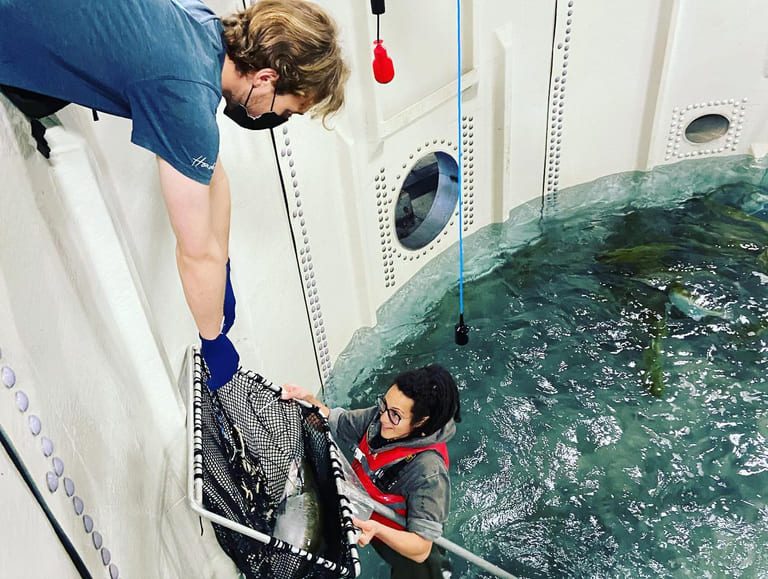 Nova Scotia land-based salmon farmer hopes to eventually increase production to 5,000 tonnes a year