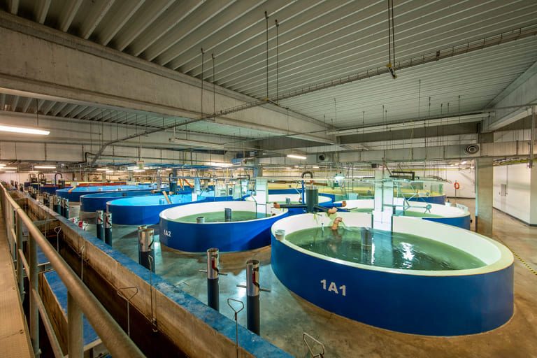 AquaMaof announces two new RAS contracts, in Russia and Kazakhstan