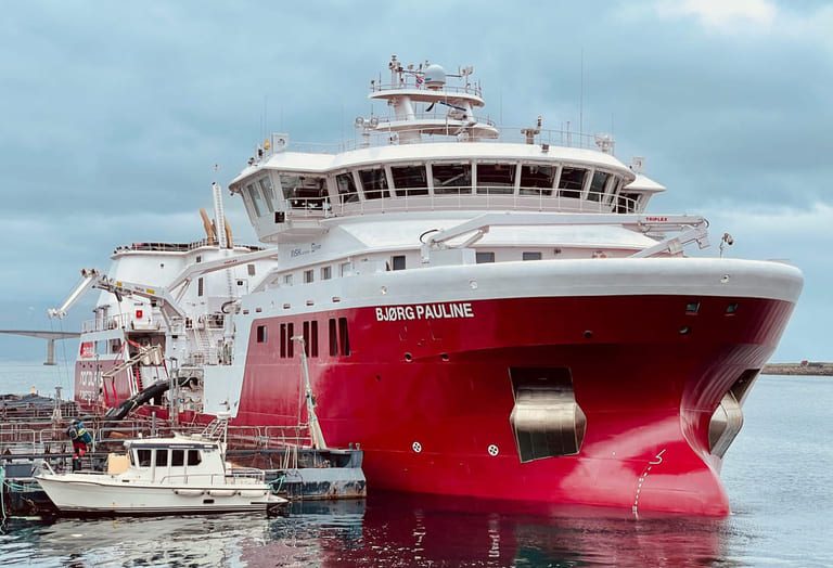 Is this the start of the next big salmon farming crisis?