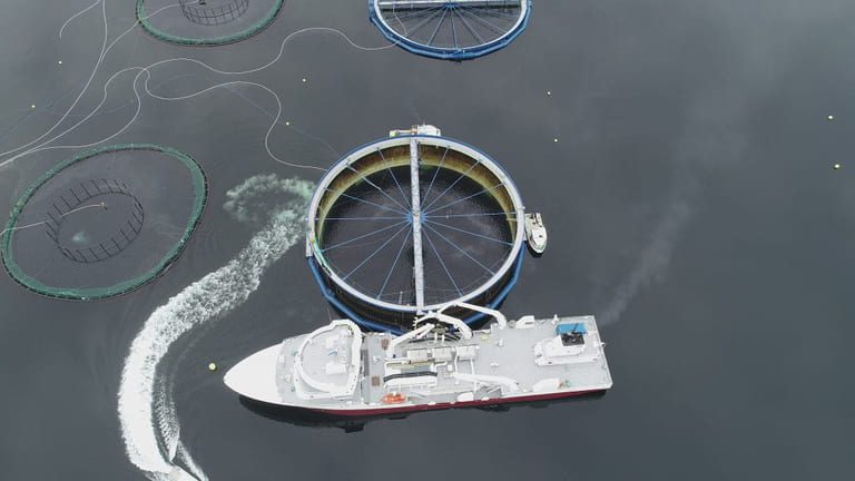 SalmoNor and NTS-owned Midt-Norsk Havbruk to merge – now priced at €295 million