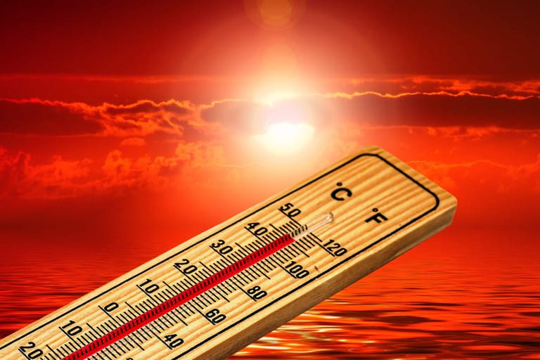 BC experiencing “dangerous, long-duration” heatwave as temperatures rise to 46.6 C