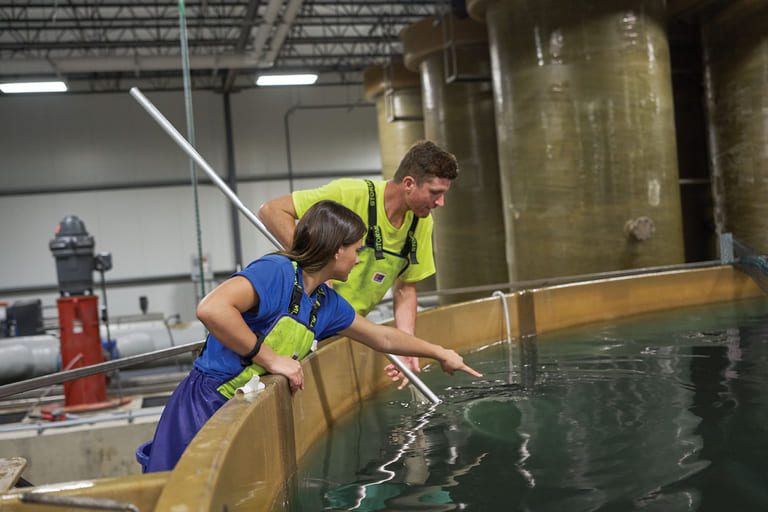 AquaBounty to locate new GM salmon farm in Ohio