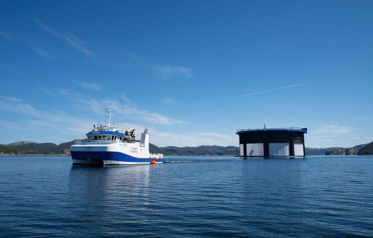 NTS bids €883 million for NRS