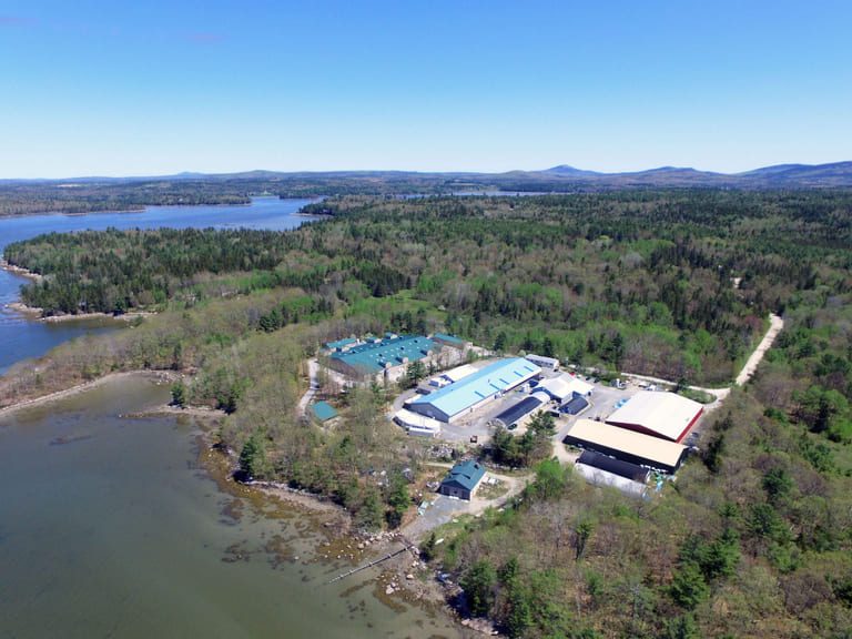 Majority of US voters back expansion of aquaculture industry