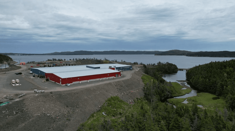Grieg Seafood Newfoundland postpones first transfer of fish to sea to spring 2022