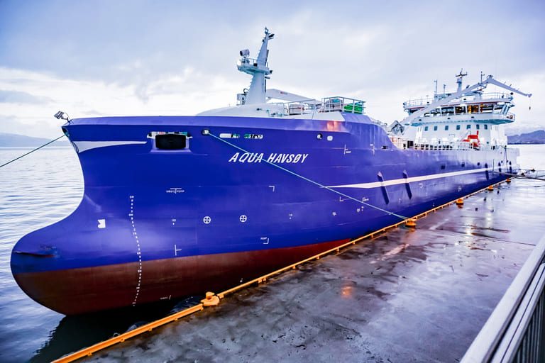 DESS Aquaculture Shipping and Sølvtrans merge