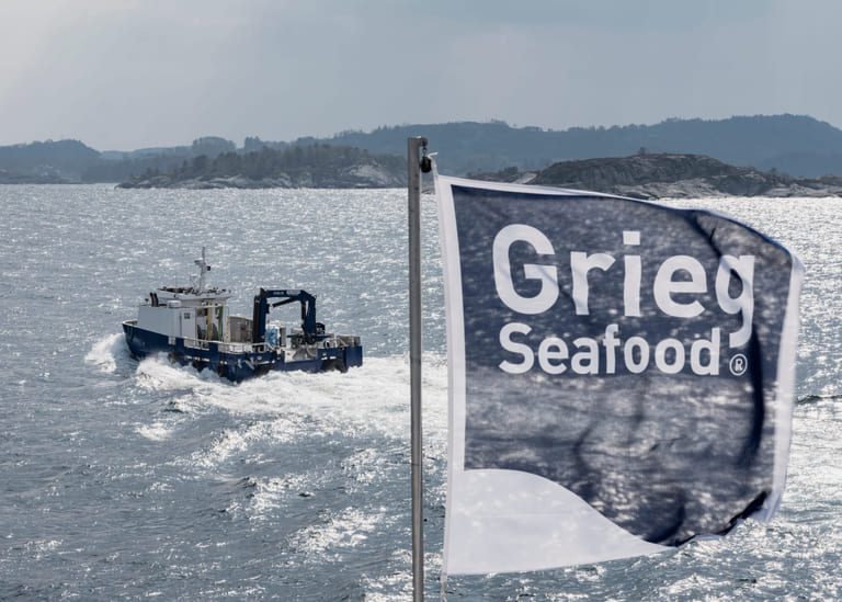 Forecasts revised after disappointing Grieg report
