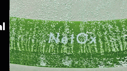 NETOX-alt-980×1