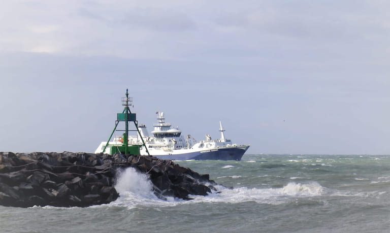 Stable salmon prices for next week