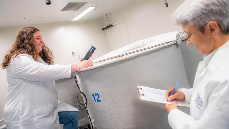 Maine scientists seek to develop vaccines for salmon from wood pulp