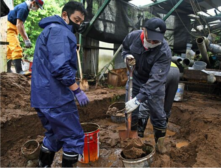 Storms across northern Japan cause catastrophic damage for Aomori fish farm