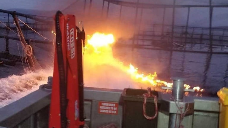 Fire, theft and freight costs: Huon announces loss of €78.9 million