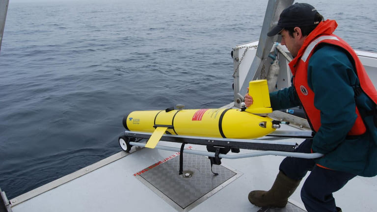 Technological breakthrough enables tracking of juvenile wild Atlantic salmon