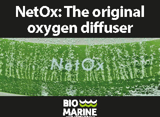 netox-alt-320×250-1