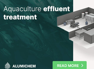 salmon-business-topbanner3-animated2-mobile320x250-2