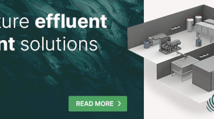 salmon-business-topbanner3-animated7