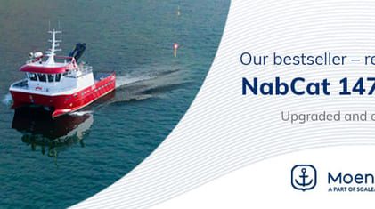 980x300_NabCat 1475 ARCTIC_English