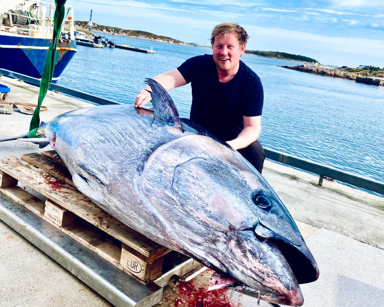 Salmon farm finds massive 270kg Bluefin tuna in the pen