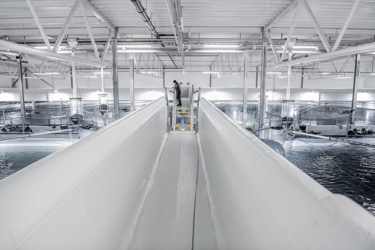 Investors lukewarm on AquaCon’s billion dollar plans for land based salmon farming in the US