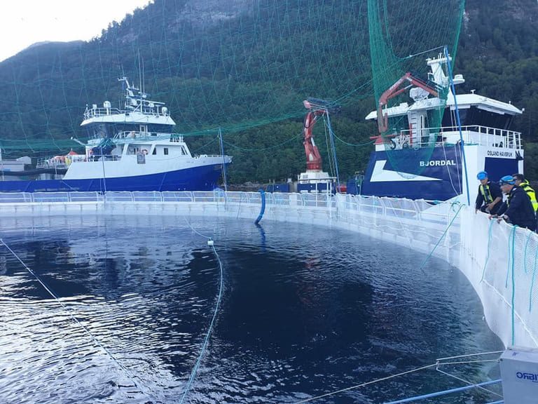 Osland is testing out two 45m deep closed cages