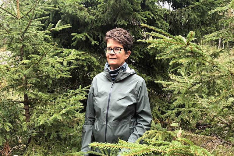 Yeast of Eden: How sugar from spruce trees is being turned into the salmon feed of the future