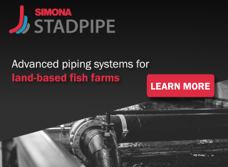 SalmonBusiness_SIMONAStadpipe_mobile_01