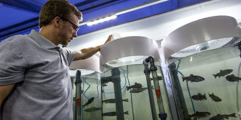 Alltech Coppens expanded research centre to focus on RAS diets