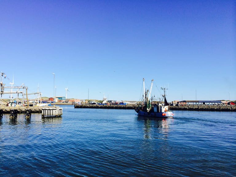 Police in Denmark warn of toxic emissions following fire at salmon facility