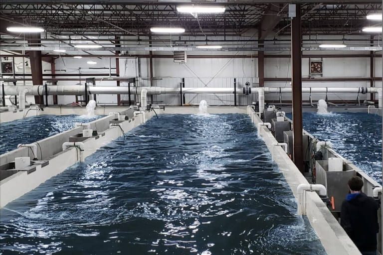 Land-based steelhead farm could provide up to 100 jobs on Vancouver Island