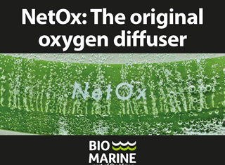 BioMarine_netox-alt-320×250-21okt2021
