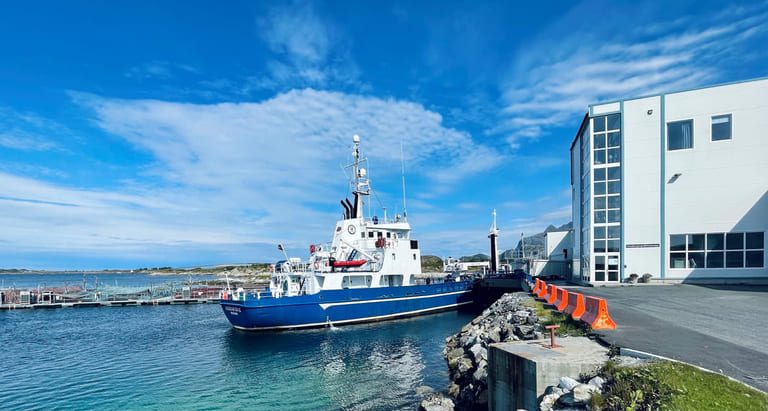 Last year yielded the weakest profitability for Norwegian salmon farming since 2012