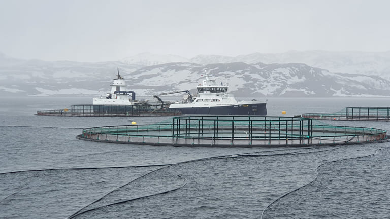 The aquaculture industry should follow up with sanctions against Russia