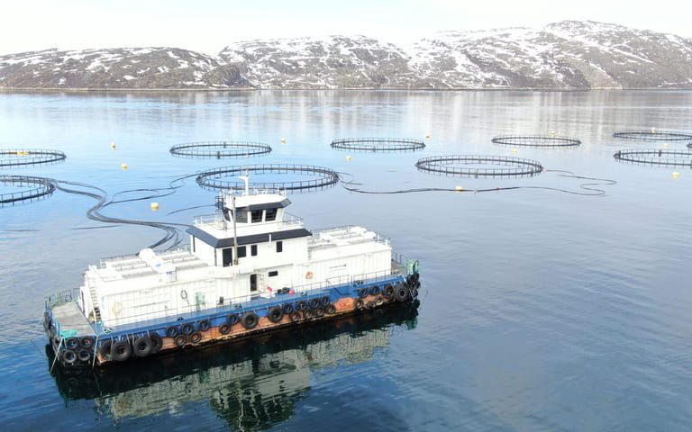 Russian government plans to double salmon production