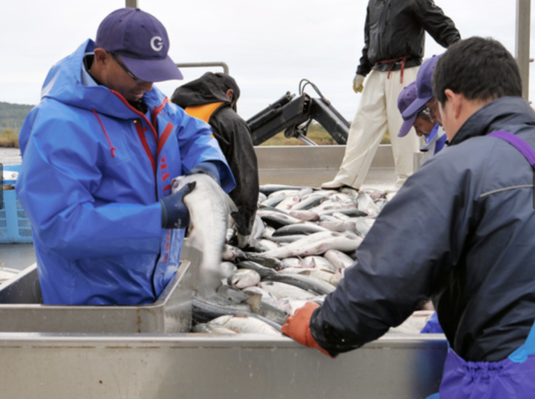 Damage from Hokkaido red tides set to reach €130 million