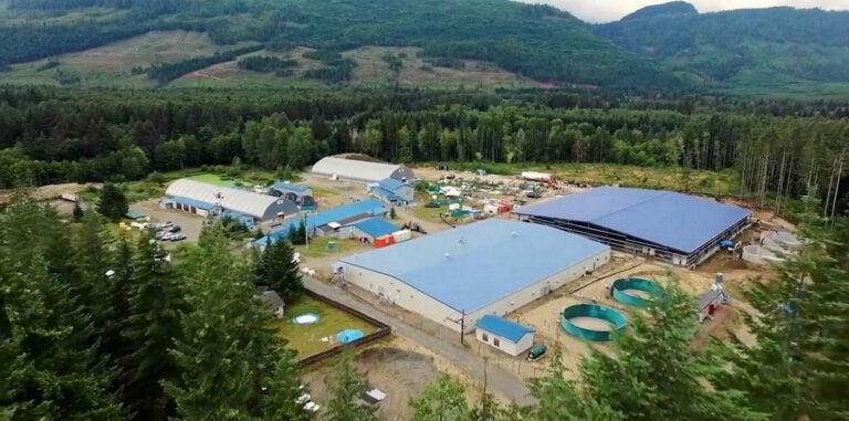 Mowi announces closure of BC salmon hatchery