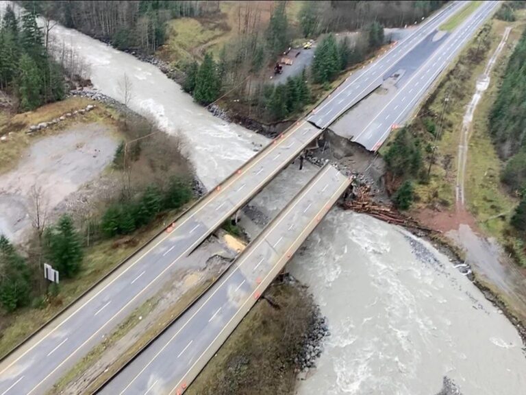 Flooding in BC devastates wild salmon runs