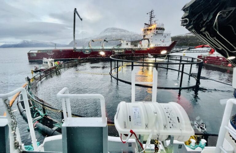 The price of salmon is moving up again, but it is still challenging to obtain transport