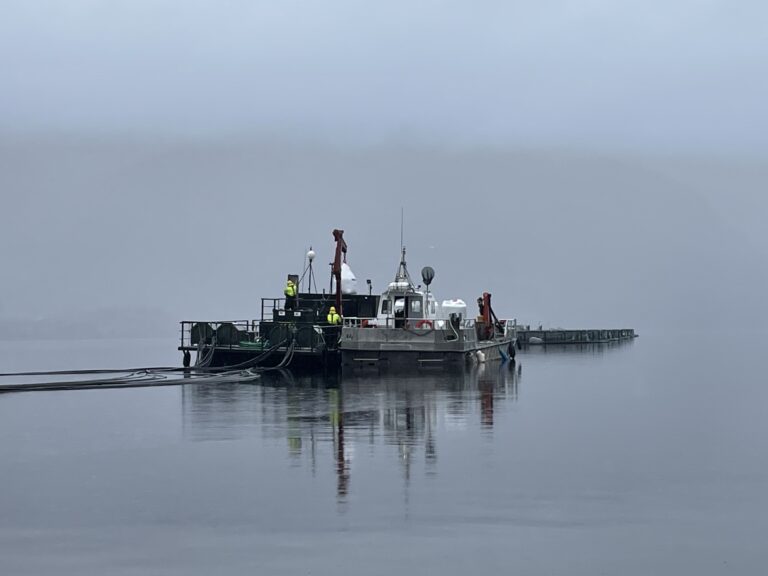 New figures prompt scrutiny of salmon farm inspection regime