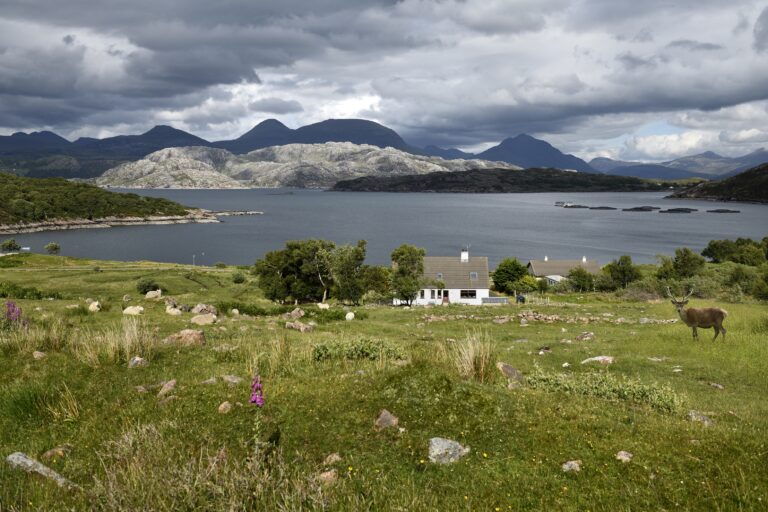New funding call opens for sustainable innovation in aquaculture