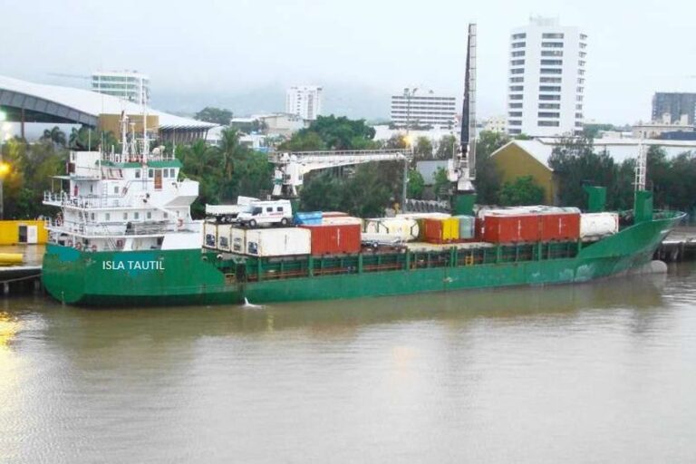 Fears for the environment as ship loaded with 40,000 litres of fuel and 2,000 tonnes of feed is stranded in Patagonia