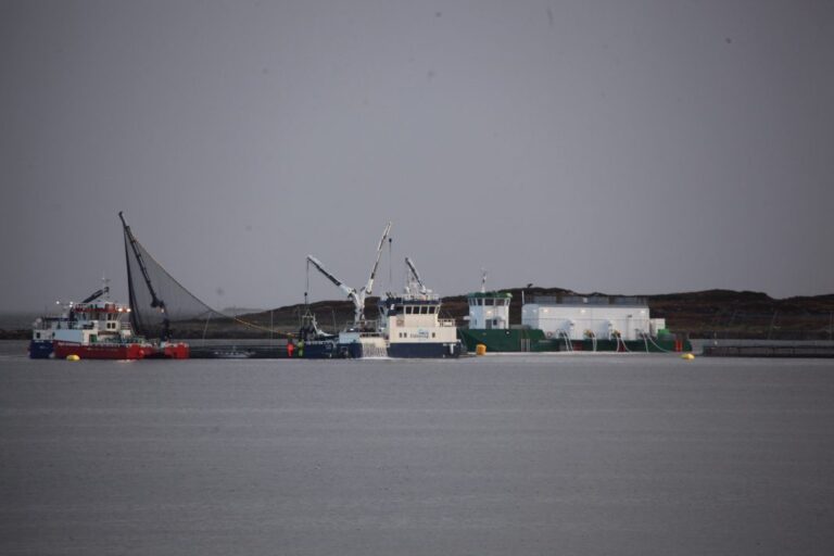Måsøval raised €40 million in share issue