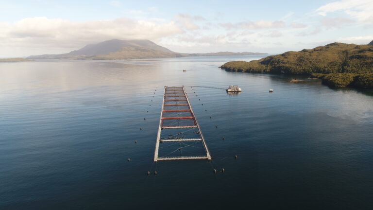 Harvest in Chile’s salmon hub down 34 percent in Q1 2022